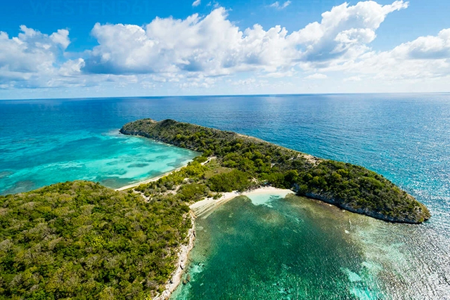Eagle Discovery Transfers and Tours