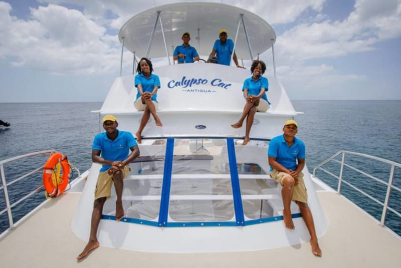 calypso-cat3