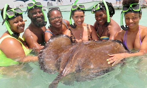 interacting with stingrays Antigua