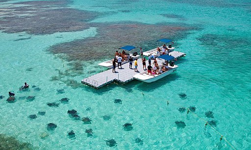 stingray city