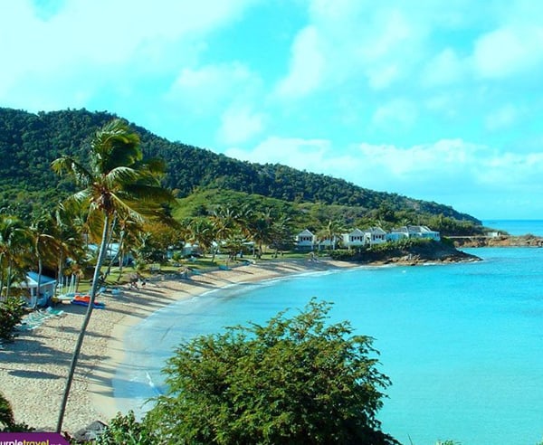 Hawksbill Resort transfers and tours
