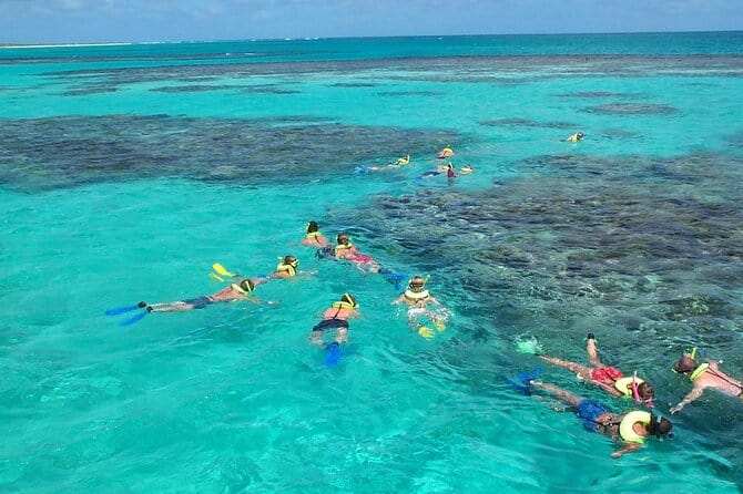 Snorkeling reef in Antigua